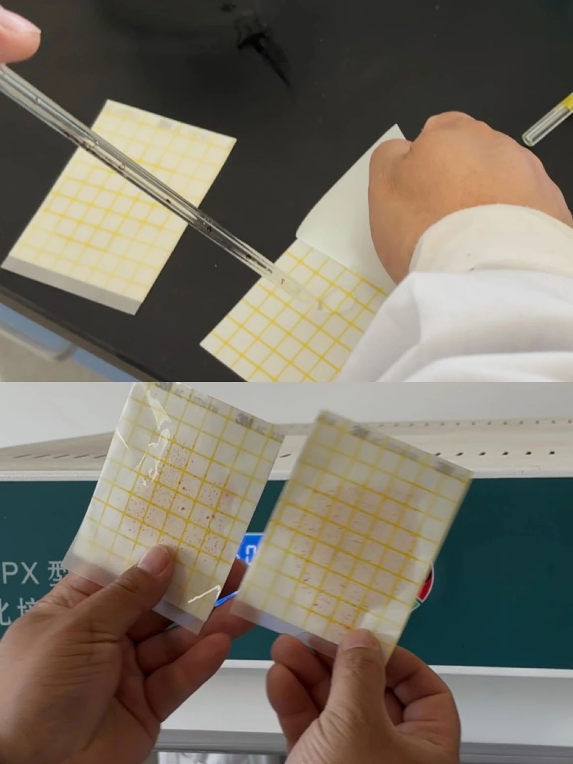 68429a7de8fbb.jpg a6d46cb6ea7f96af55419211618d7b01.jpg